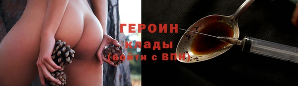 mdpv Заводоуковск