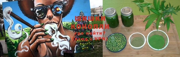 бошки Ельня
