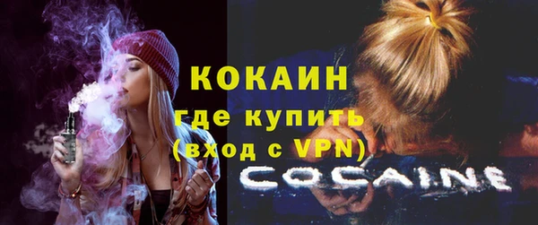 mdpv Заводоуковск