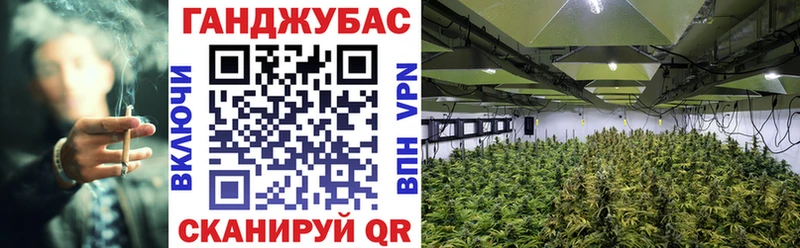 Купить  Сычёвка  Бошки марихуана тримм 